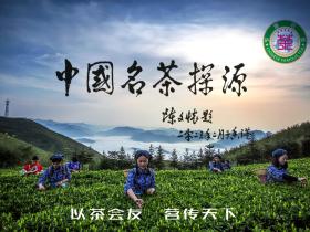 【中国之窗】陈文怀教授为《中国名茶》探源活动题字